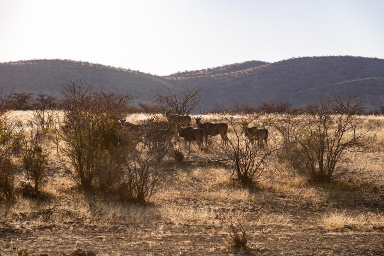 Ugab Game Farm & Lodge Vingerklip Esterno foto