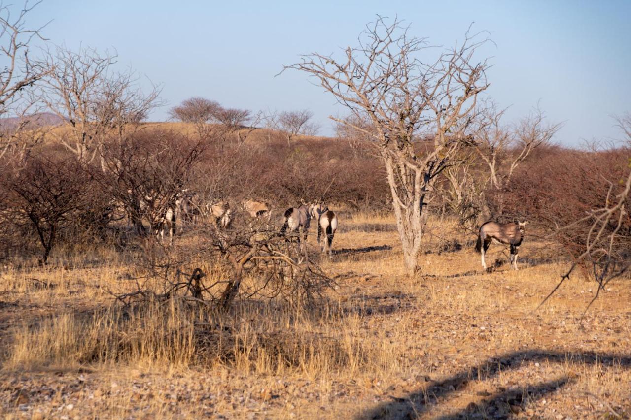 Ugab Game Farm & Lodge Vingerklip Esterno foto