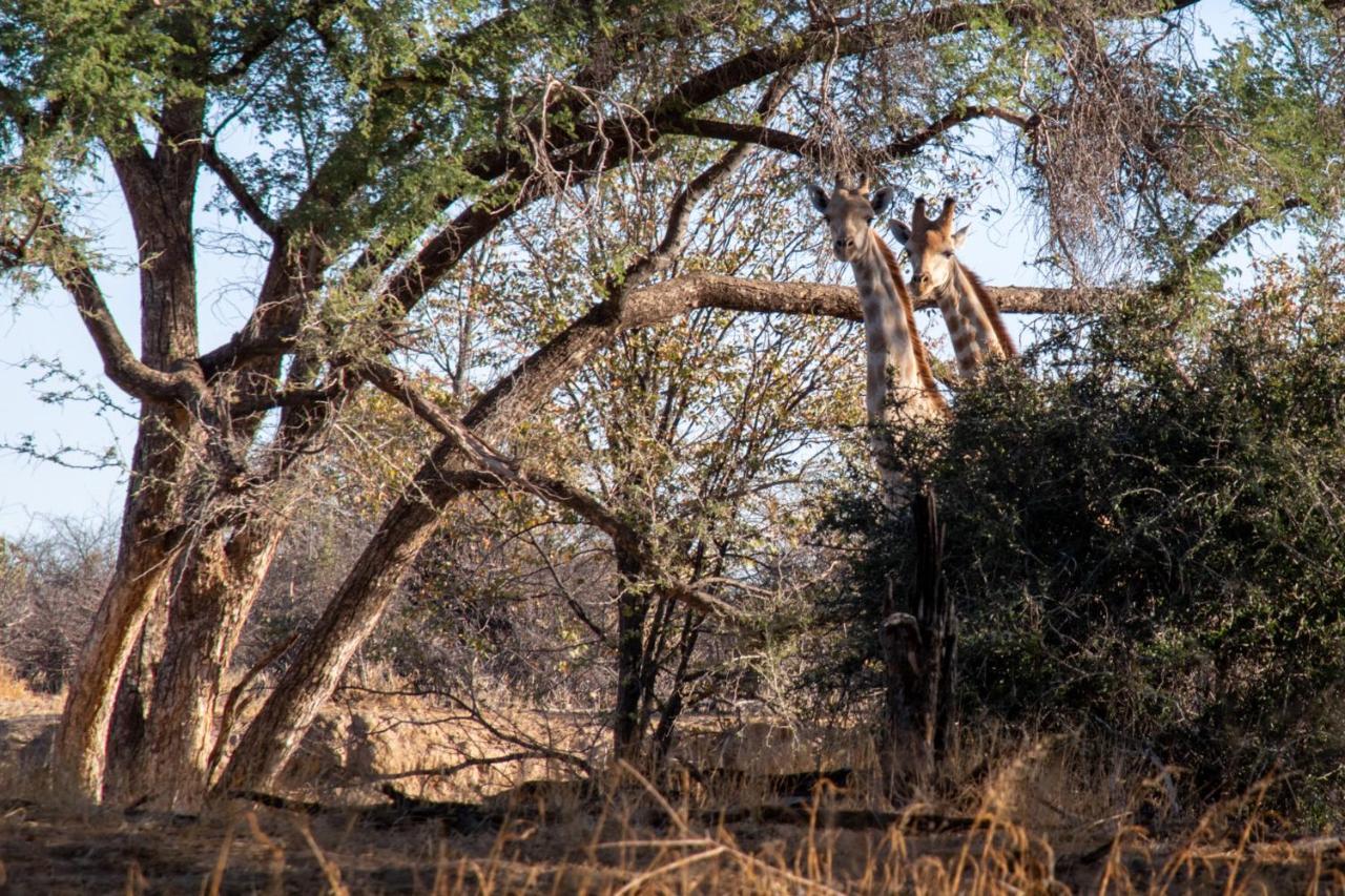 Ugab Game Farm & Lodge Vingerklip Esterno foto
