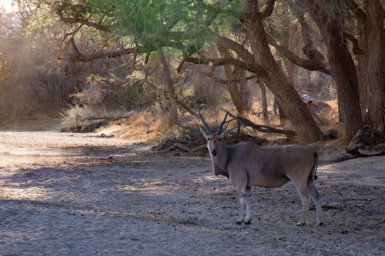 Ugab Game Farm & Lodge Vingerklip Esterno foto