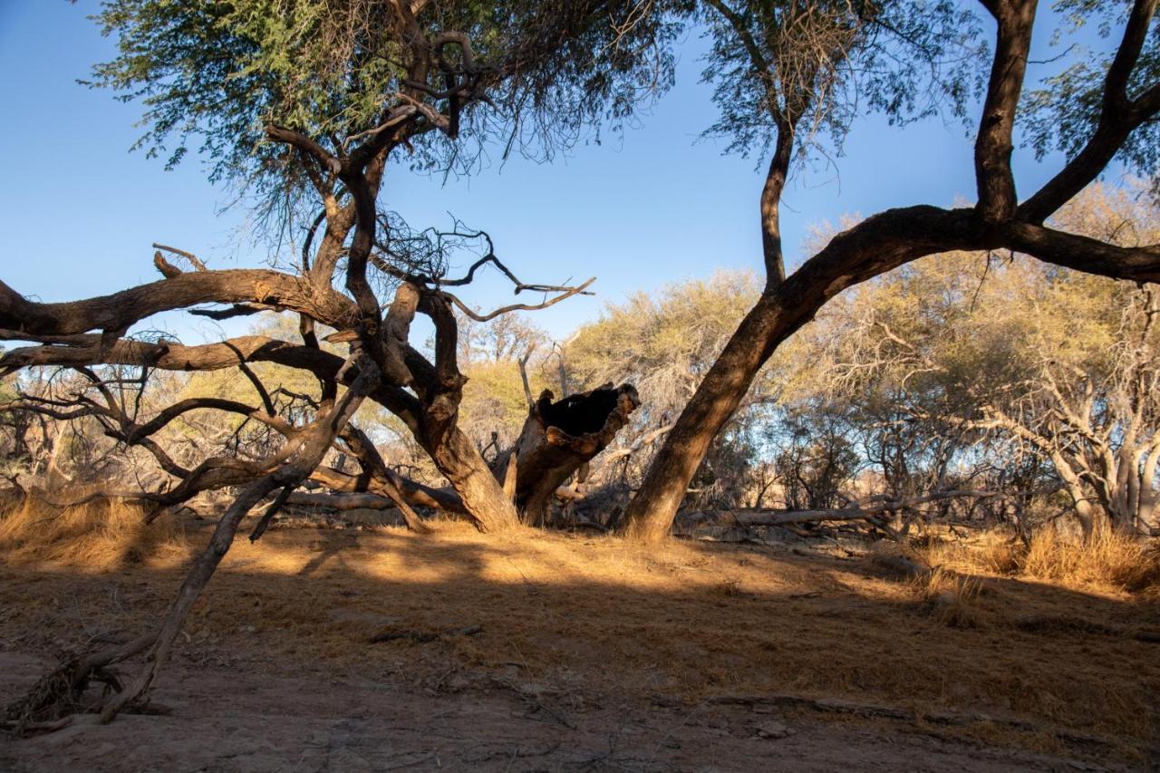 Ugab Game Farm & Lodge Vingerklip Esterno foto