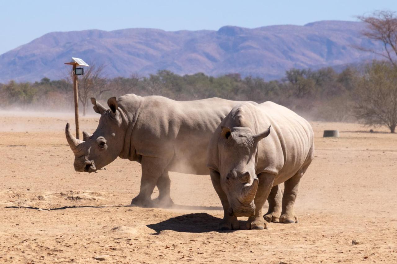 Ugab Game Farm & Lodge Vingerklip Esterno foto