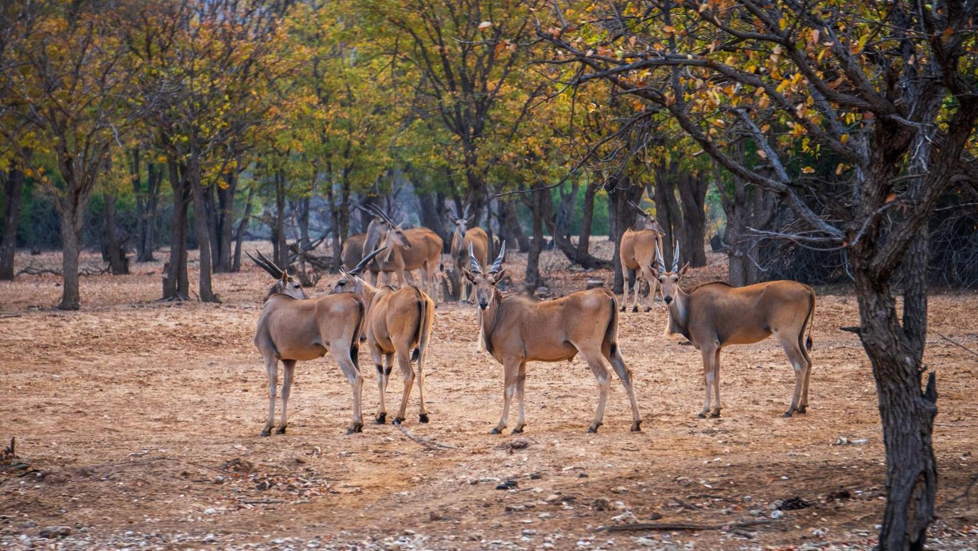 Ugab Game Farm & Lodge Vingerklip Esterno foto